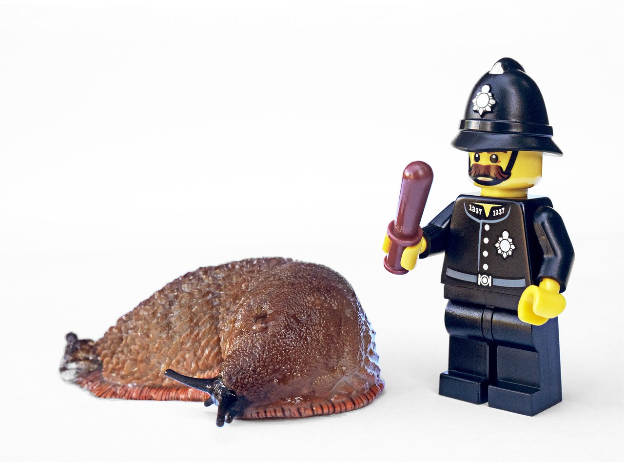 Rat Exterminator Solutions for Effective and Safe Rodent Control